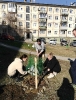 Бархатный город_2